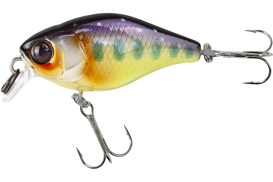 Воблер Jackall Chubby 38 SR Silent iwana - фото 1