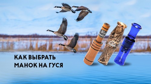 Манок на гуся: как выбрать, какой манок на гуся лучше