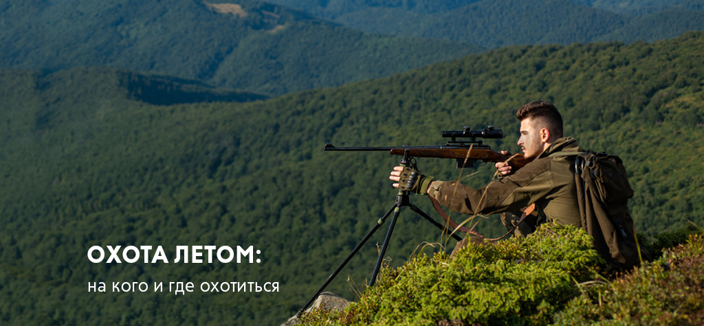 Охота летом: на кого и где охотиться Охота летом: на кого и где охотиться