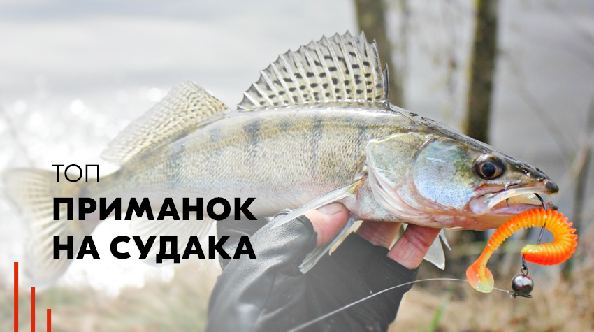 Лучшие приманки на судака - обзор самых уловистых приманок Лучшие приманки на судака - обзор самых уловистых приманок