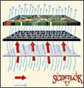 Scent-Lok odor trap Scent-Lok odor trap