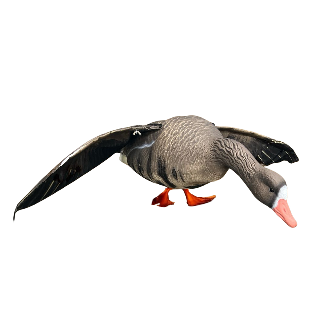 Чучело Oscar Decoys Махокрыл Белолобый гусь Speckbelly Goose мягкий MSG10 - фото 1