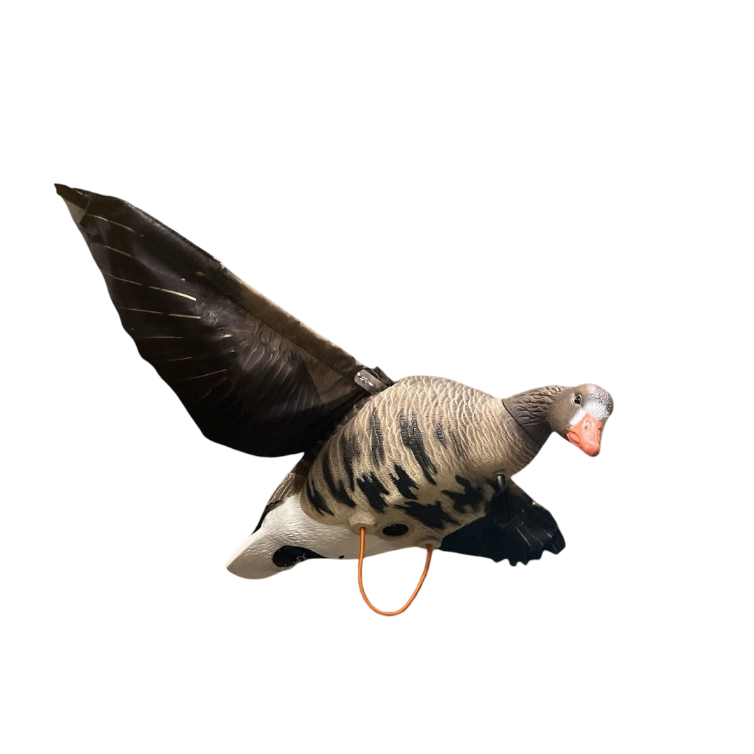 Чучело Oscar Decoys Махокрыл белолобый гусь Avian-Mix cъемн головы MESG6 - фото 1