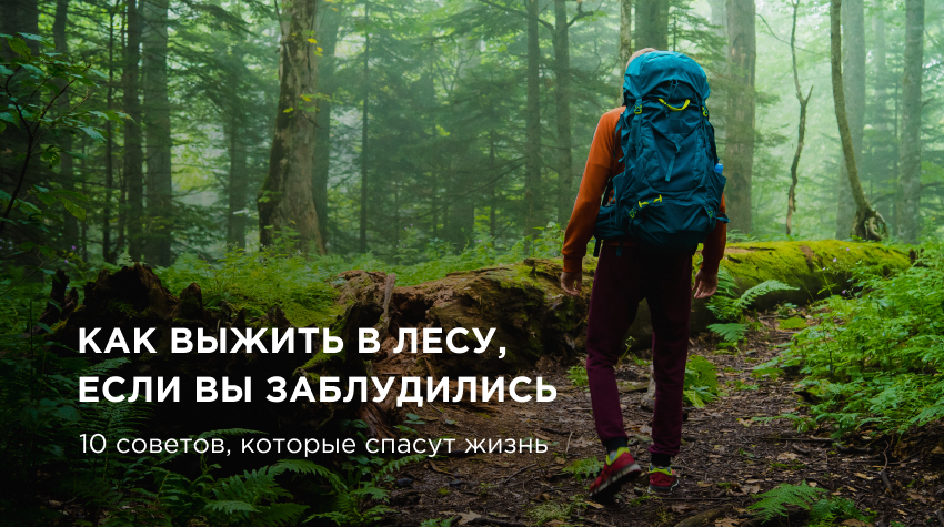 Что делать, если ты заблудился в лесу