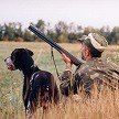 Весенняя охота на гуся, утку, тетерева, глухаря и вальдшнепа. Охотничьи угодья и полезная экипировка 