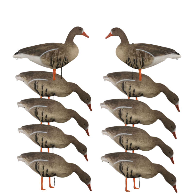 Чучело Oscar Decoys Белолобый гусь Speckbelly Goose мягкий 10шт 8+2 SG10 - фото 1