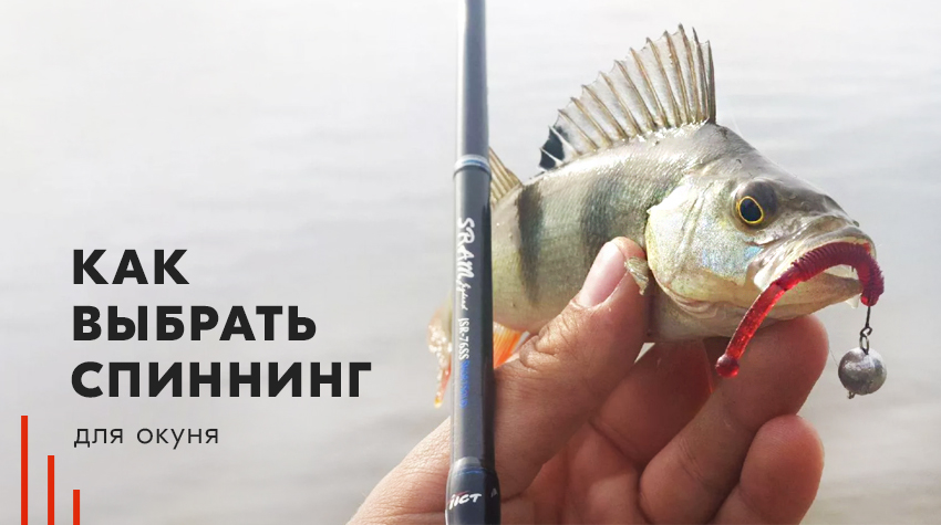 Как выбрать спиннинг для окуня? Как выбрать спиннинг для окуня?