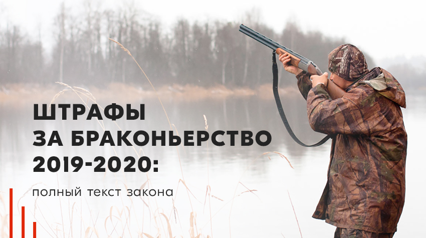 Штрафы за браконьерство 2019-2020: полный текст закона