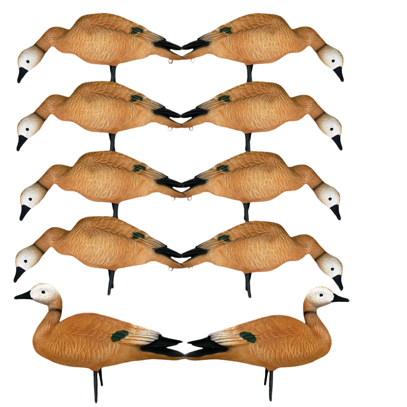 Чучело Oscar Decoys Огарь Утка Elite 3D Ruddy Duck мягкий 10шт ERD-10 - фото 1
