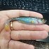 Приманка Savage Gear Craft Shad 10см 6гр Roach Bulk 1/40: отзывы