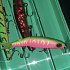 Воблер Jackall Tiny magallon dragon fruit mat tiger: отзывы