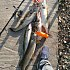 Приманка Keitech Mad Wag mini 3,5" цв.205 bluegill: отзывы