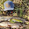 Кепка Savage Gear Flex fit camo camo/grey one size: отзывы