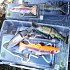 Приманка Savage Gear 4D Line thru trout 15см 35гр SS 01 rainbow: отзывы