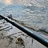 Удилище DAM Detek method feeder 12' M 3,60м 60гр 3+3сек: отзывы