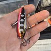 Блесна Daiwa Chinook S 25гр kurokin yamame: отзывы