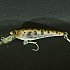 Воблер Daiwa SC Shad 5SP yamame: отзывы