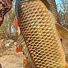Катушка Riverzone Tornado JO3000: отзывы