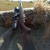 Карабин ТОЗ 78-04 М 22LR: отзывы