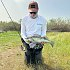 Приманка Reins G tail saturn 3,5'' цв. 129 grow chart silver уп 12шт: отзывы