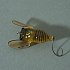 Воблер Savage Gear Cicada 3,3см 3,5гр F brown: отзывы