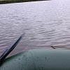 Лодка Мастер лодок Аква Оптима 220 зеленая: отзывы