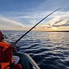 Лодка Мастер лодок Аква Оптима 260 НД зеленая: отзывы