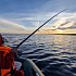 Лодка Мастер лодок Аква Оптима 260 НД зеленая: отзывы