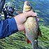 Сумка Shimano BW-211S black M: отзывы