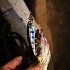 Воблер DUO Realis Shad 59SR 4,7гр  цв.N34: отзывы