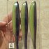 Приманка Keitech виброхвост Easy shiner 6,5" PAL06 Violet lime belly: отзывы