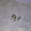 Вертлюжок Daiwa N'ZON Swivel Size №10: отзывы