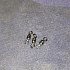 Вертлюжок Daiwa N'ZON Swivel Size №10: отзывы