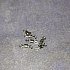 Вертлюжок Daiwa N'ZON Swivel Size №12: отзывы