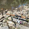 Воблер Daiwa Haze Crank MR sujiebi: отзывы