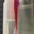 Приманка Keitech виброхвост Swing impact 4,5" PAL12 Grape shad: отзывы