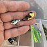 Тейл-спиннер Berkley Pulse Spintail 5см 5гр Holo Perch: отзывы