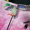 Механическое чучело Taigan Mid size Mallard Drake селезень: отзывы