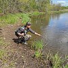 Рюкзак Riverzone Bag sling big: отзывы