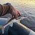 Воблер DUO Realis Jerkbait 100SP 100мм 14,5гр  цв.GEA3006: отзывы