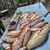 Леска Riverzone FishJerk 150м 0,5мм 22lb clear: отзывы