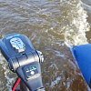 Электромотор Haswing Protruar Genius 55Lbs 12V: отзывы