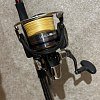 Катушка Daiwa 20 Legalis LT 6000: отзывы