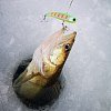 Воблер IMA Koume Vib 80 20гр dotty lime shad: отзывы