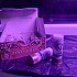 Патрон 12х70 СКМ картечь 5,6 36: отзывы