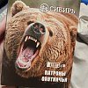 Патрон 12х70 Сибирь пуля Импульс 2 28г 1/10/200: отзывы
