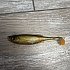 Приманка Savage Gear Craft Shad 10см 6гр Green Silver Bulk 1/40: отзывы