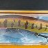 Воблер Halco Sorcerer 125 XDD+STD-R31 floating: отзывы