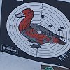 Патрон 223Rem АПЗ Republic FMJ 3,56г: отзывы