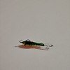 Балансир Rapala W03/P: отзывы